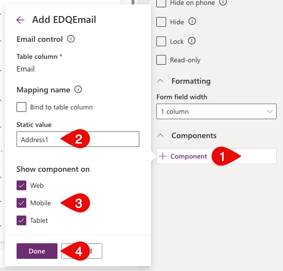 Field properties for an email field